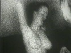 Die heiße Bitch wird beim Solosex gezeigt